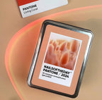 Caja de hojalata "PANTONE2024" para regalo para ti/amiga y espectacular desembalaje de la colección del Pantone Color Institute