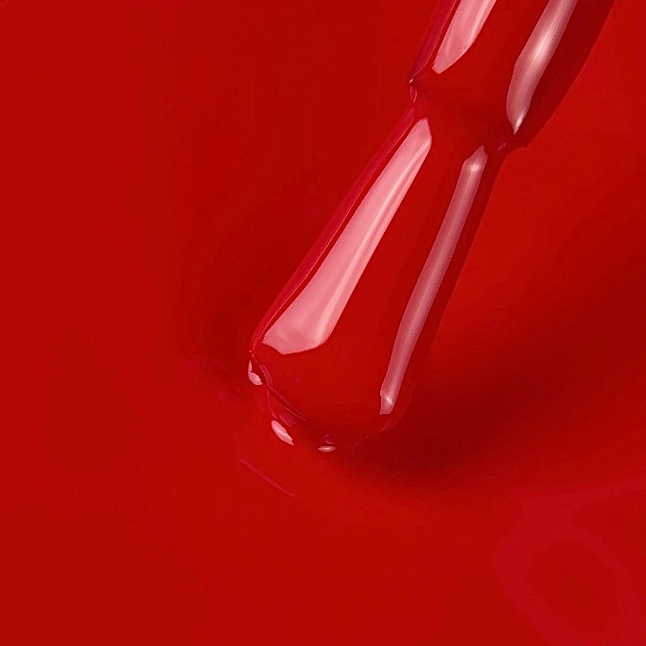 NAILSOFTHEDAY Color of the Mes Marzo 2026 Wild — rojo indomable con cobertura en una sola capa, 10 ml
